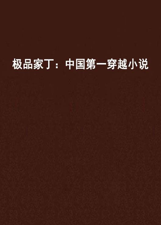 极品家丁：中国第一穿越小说