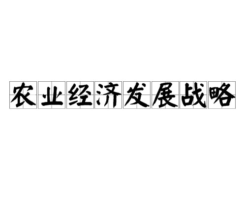 农业经济发展战略