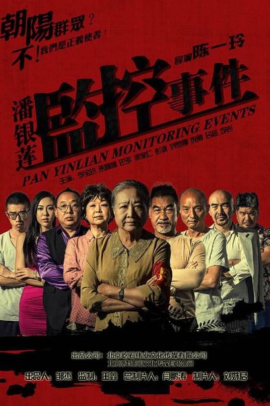 潘银莲监控事件
