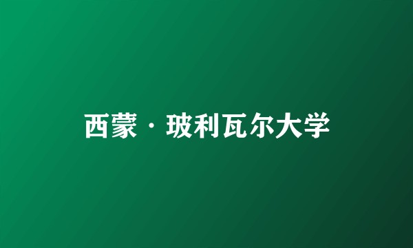 西蒙·玻利瓦尔大学