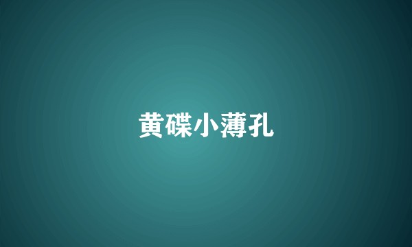 黄碟小薄孔