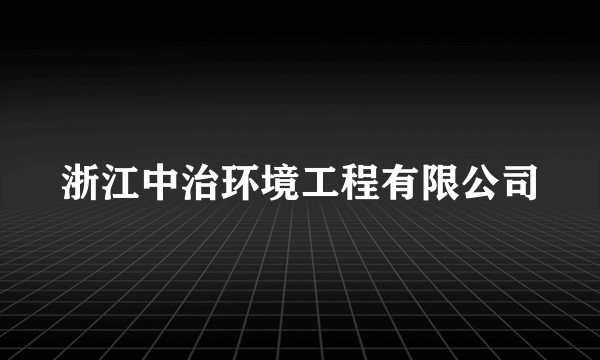 浙江中治环境工程有限公司