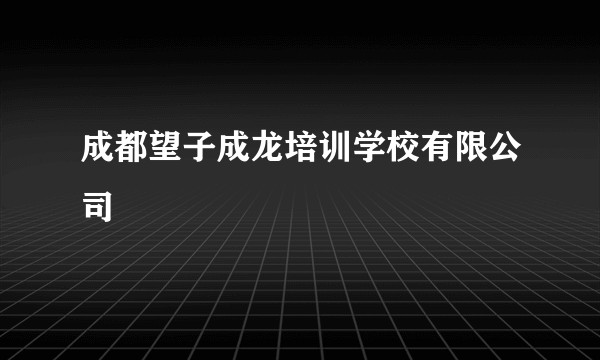 成都望子成龙培训学校有限公司
