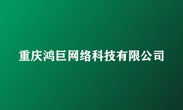 重庆鸿巨网络科技有限公司