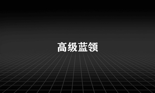 高级蓝领