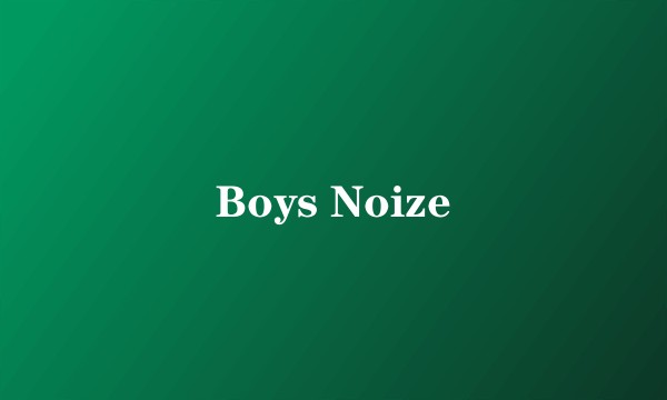 Boys Noize