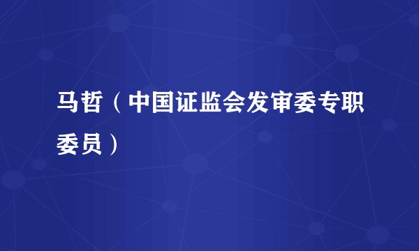 马哲（中国证监会发审委专职委员）