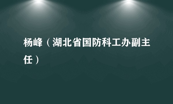 杨峰（湖北省国防科工办副主任）