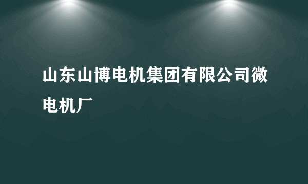 山东山博电机集团有限公司微电机厂