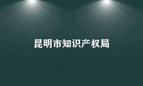 昆明市知识产权局