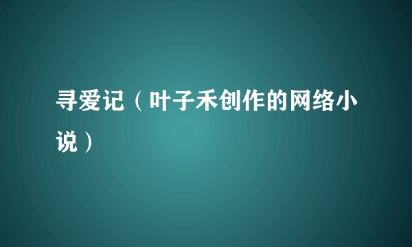 寻爱记（叶子禾创作的网络小说）