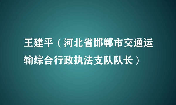王建平（河北省邯郸市交通运输综合行政执法支队队长）