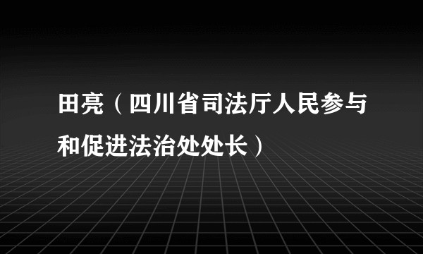 田亮（四川省司法厅人民参与和促进法治处处长）