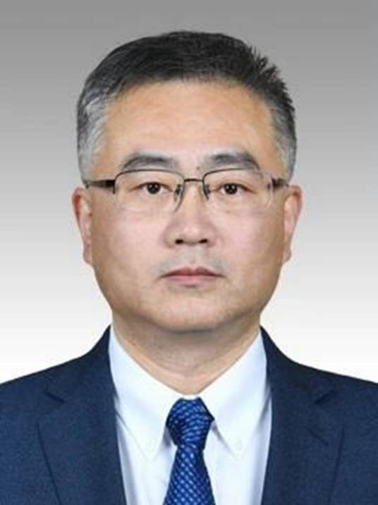 盛强(上海市人民政府办公厅副主任)