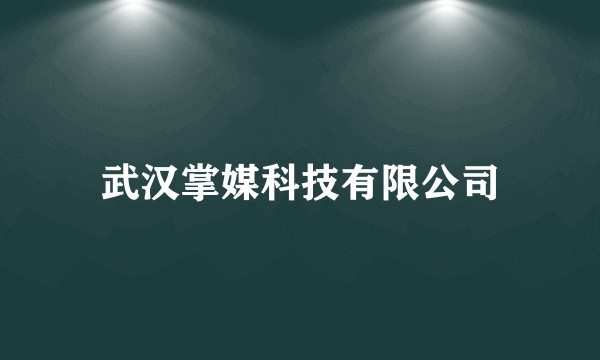 武汉掌媒科技有限公司