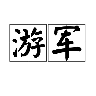 游军（军事用语）