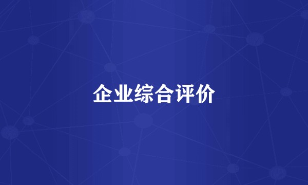 企业综合评价