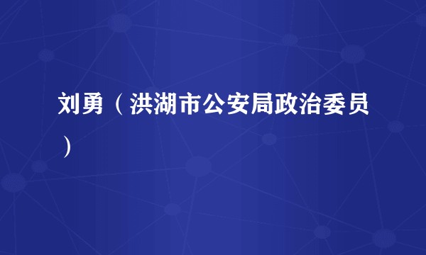 刘勇（洪湖市公安局政治委员）