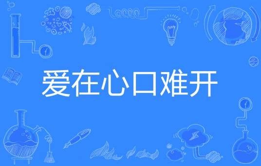 爱在心口难开（茴灰著网络小说）