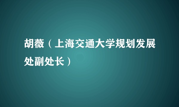 胡薇（上海交通大学规划发展处副处长）