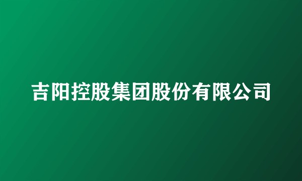 吉阳控股集团股份有限公司