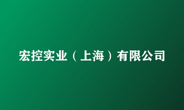 宏控实业（上海）有限公司