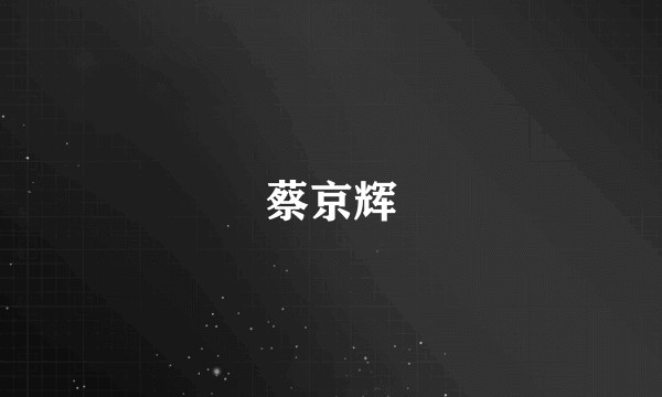 蔡京辉