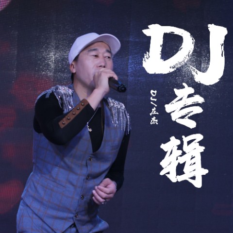 你是我曾经拼了命爱过的人（庄杰演唱歌曲）