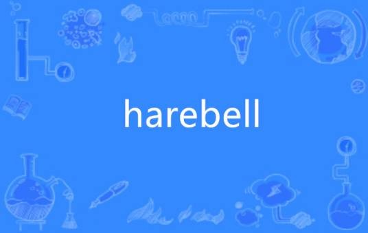 harebell