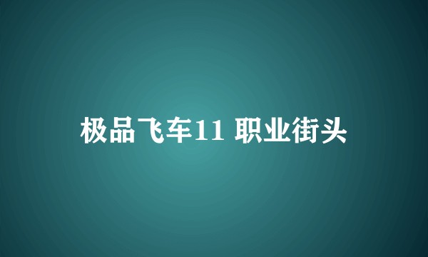 极品飞车11 职业街头