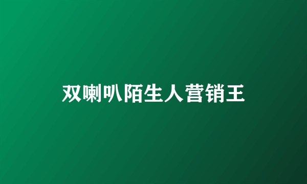 双喇叭陌生人营销王