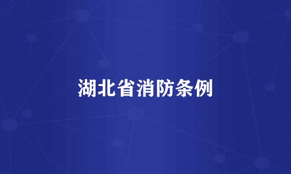 湖北省消防条例