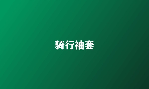 骑行袖套