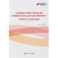 中国知识产权典型案例