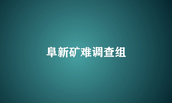 阜新矿难调查组