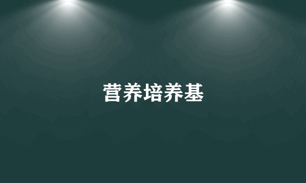 营养培养基