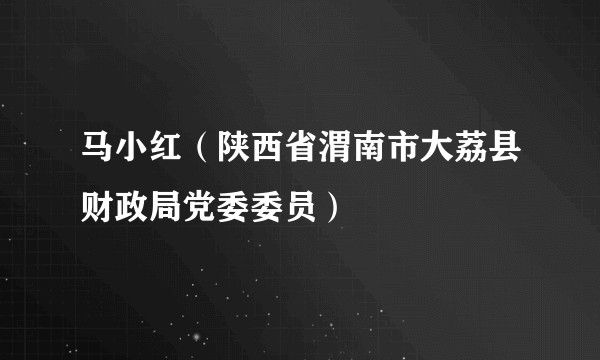 马小红（陕西省渭南市大荔县财政局党委委员）