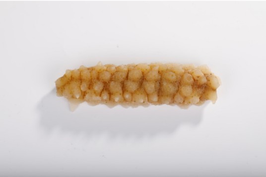 刺皇参