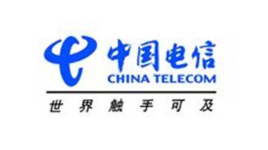 中国电信（美洲）有限公司