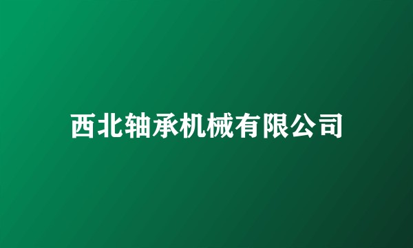 西北轴承机械有限公司