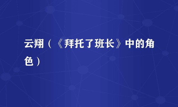 云翔（《拜托了班长》中的角色）