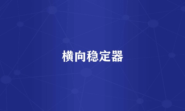 横向稳定器