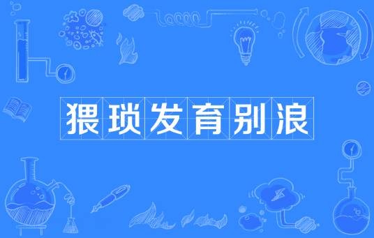 猥琐发育别浪（网络流行词）
