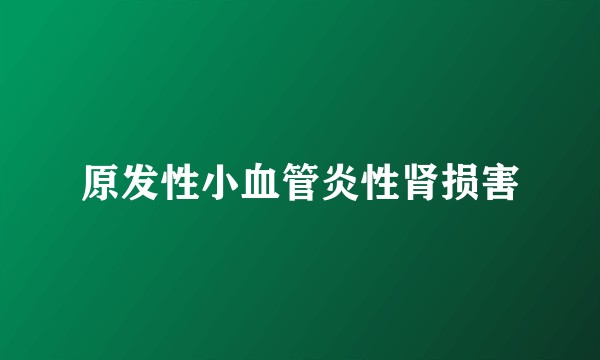 原发性小血管炎性肾损害