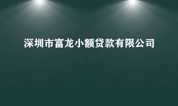 深圳市富龙小额贷款有限公司