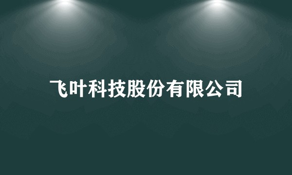 飞叶科技股份有限公司