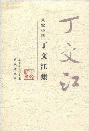 丁文江集