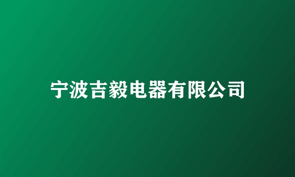 宁波吉毅电器有限公司