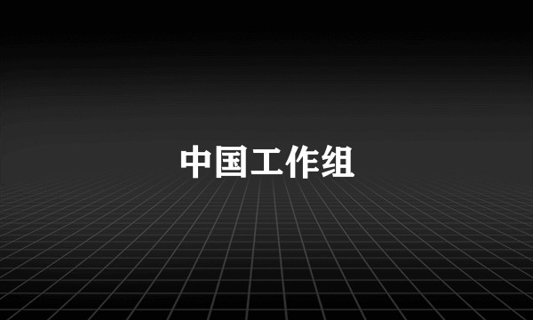 中国工作组