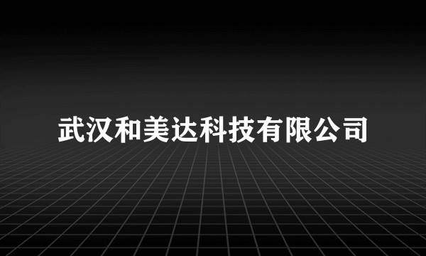 武汉和美达科技有限公司